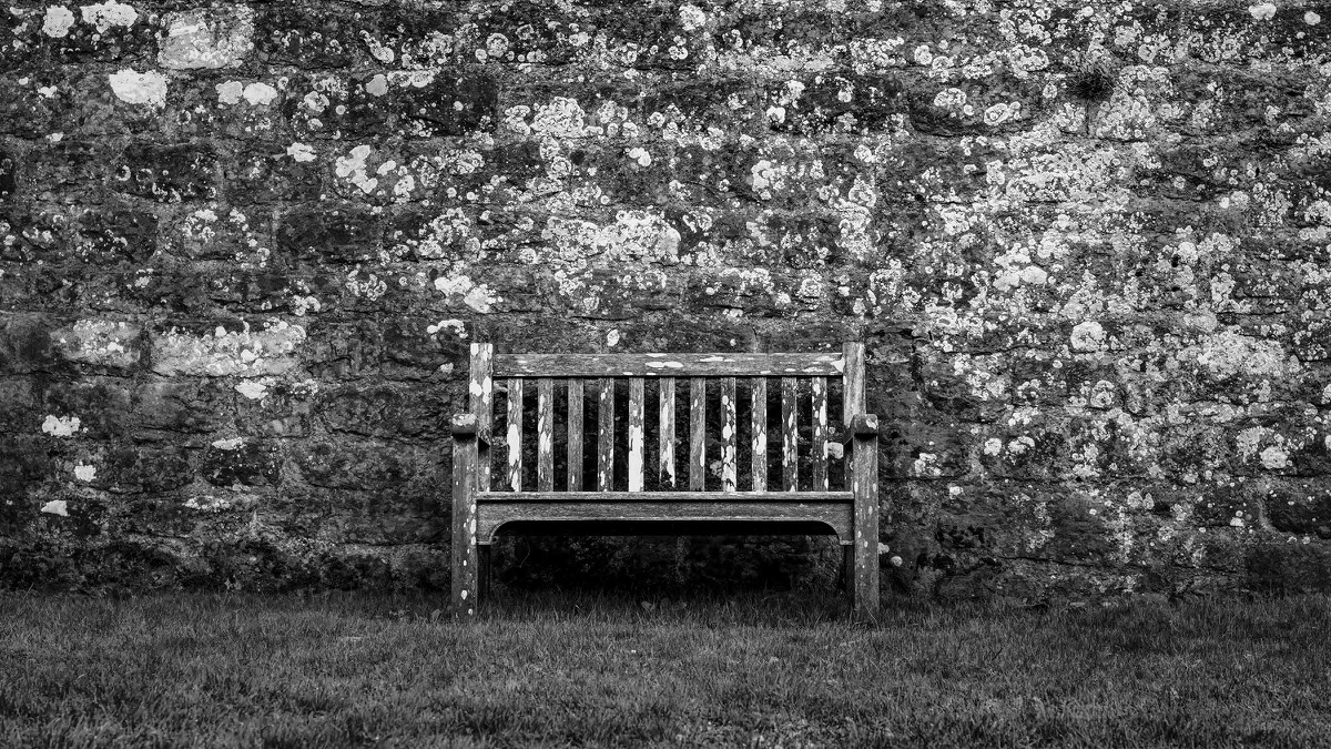 Weathered wooden bench against a lichen-covered wall