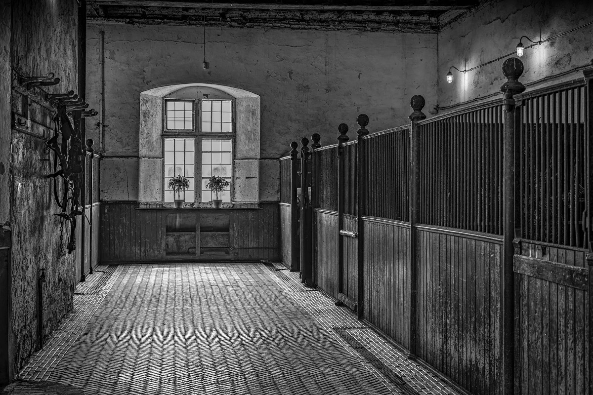Empty stable corridor lit by a single window